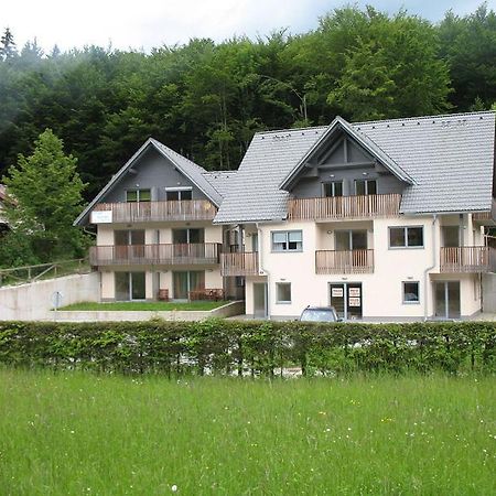 Ribcev Laz Private Apartments Bohinj מראה חיצוני תמונה